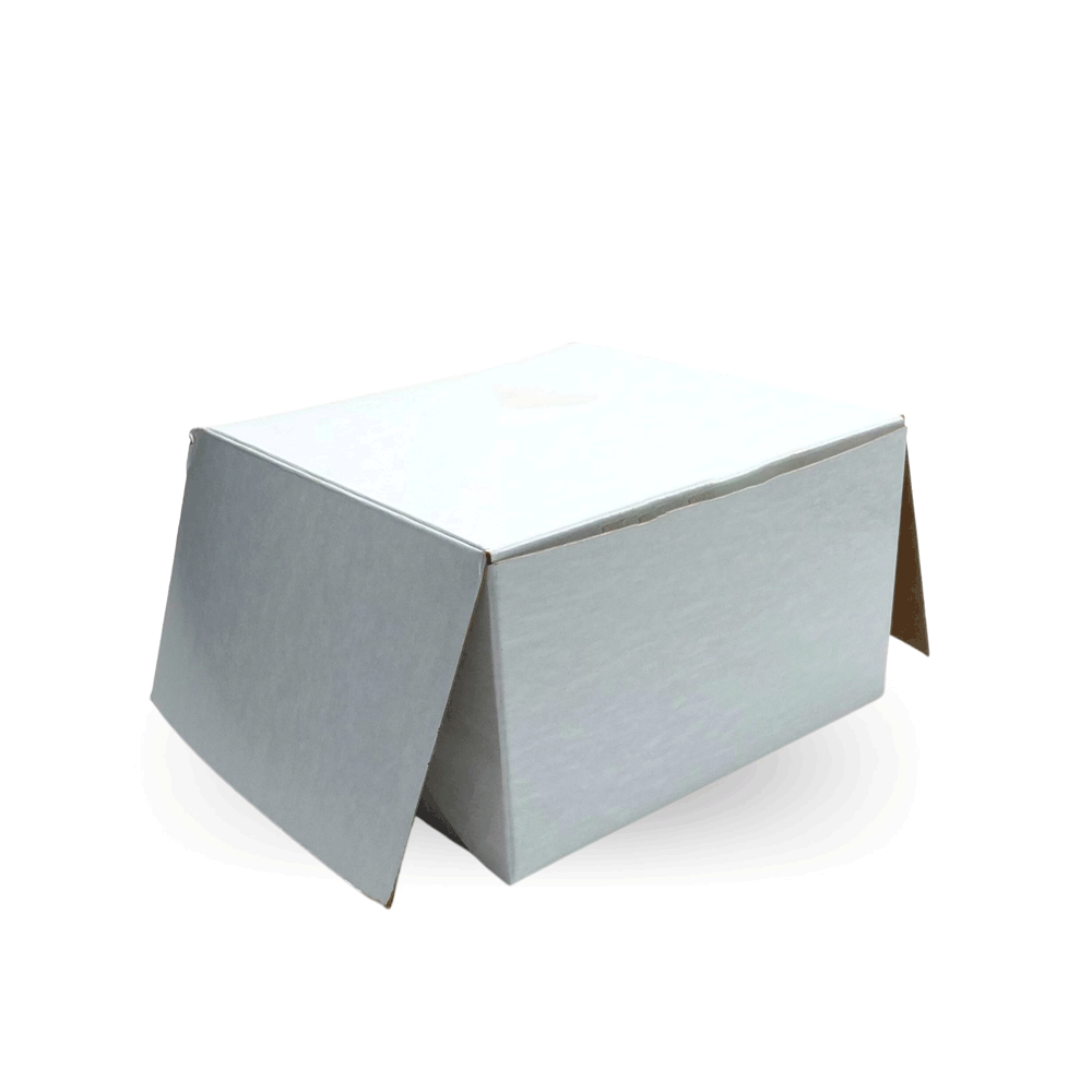 Caja blanca de 4 pulgadas de largo x 2 pulgadas de ancho x 2 pulgadas de  alto, 20 cajas